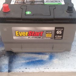 EverStart Platinum AGM Group Size  65 New Never Been Used 