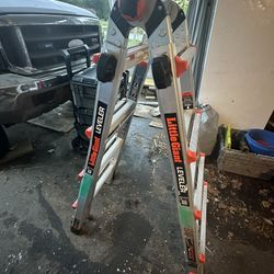 Little Giant Ladder