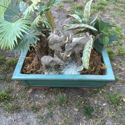 Elephant And Fake Plant Display Amazing 
