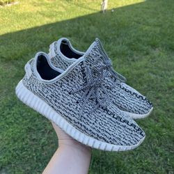 Yeezys Boost Turtle Dove 