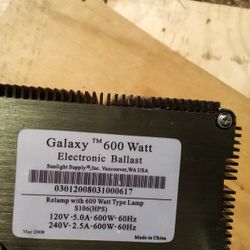 Everything But The Bulbs 