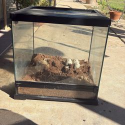 Exo Terra Reptile/frog Tank 
