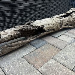 Driftwood 