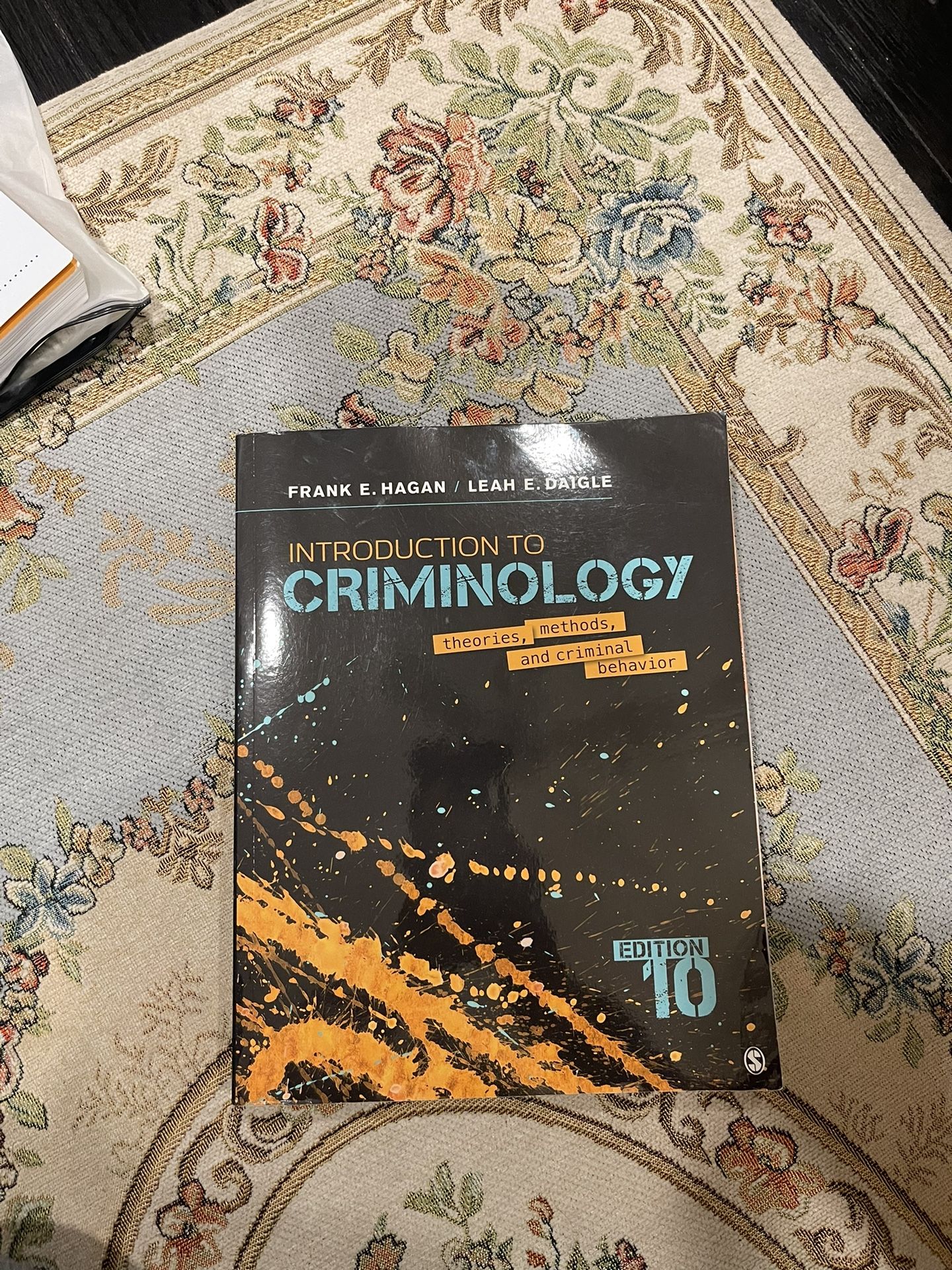 Introduction to criminology edition 10 Hagan & Daigle