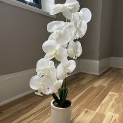 Artificial Flowers (white Orchid)