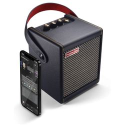 New Positive Grid Spark Mini 10W Small Smart Guitar Amp & Bluetooth Speaker Pickup Fontana Costco 