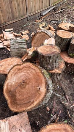 Large Hardwood Log Rounds - need to go today