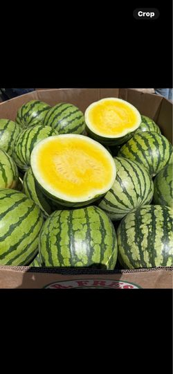 Watermelons yellow and red