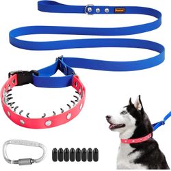 Martingale Collar, 2 in 1 No Pull Dog Collar and Leash for  Large Dogs, 