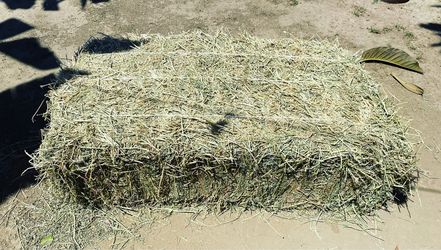 Bale of Hay