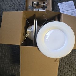 6" Recessed Light Conversion LED