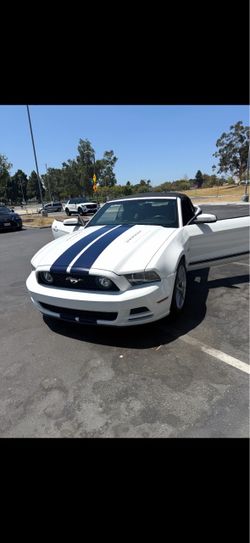 5.0 Mustang GT