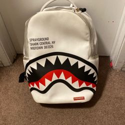 Spray ground Backpack 