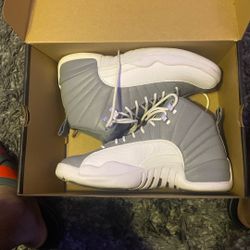 Jordan 12 stealth 