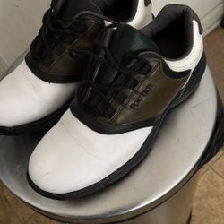 Golf Shoes Foot Joy