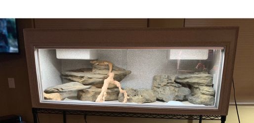 Universal Rocks set - for reptile terrarium or aquatic
