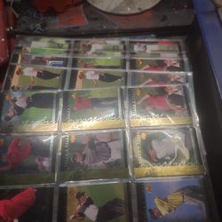 Tigers Tales Compete Sets 