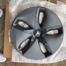 Stock Model 3 Hub Caps 