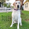 Jules