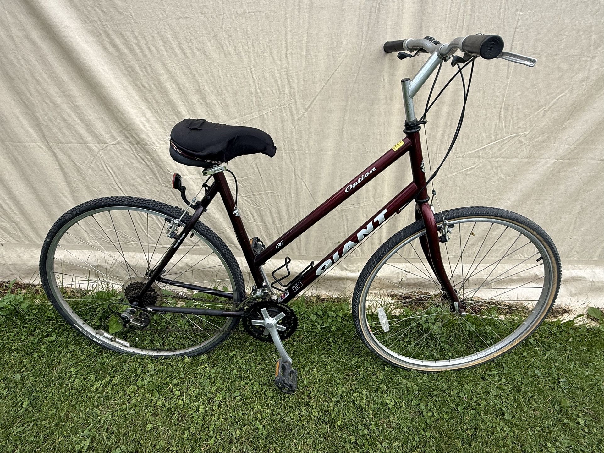 Women’s Giant Bike 21”