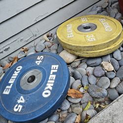 Eleiko Plates + Barbell 