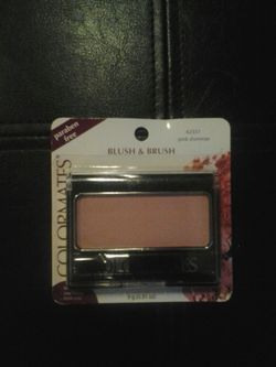 Colormates blush and brush