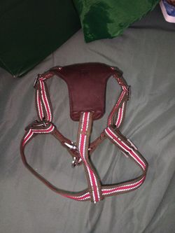 Dog Harness