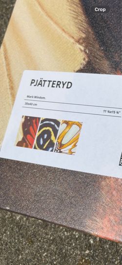 New in Box! Ikea PJÄTTERYD Canvas Print (Set of 3)