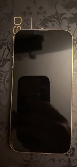 iPhone 13pro