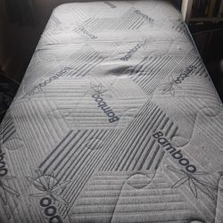 Year Old Guest Room Bed Bamboo Gel 