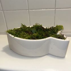 Fish Shape Planter 