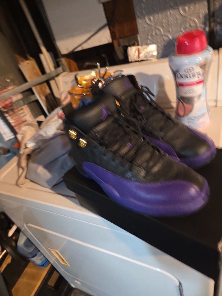 Jordan Retro 12 Purple And Black 140