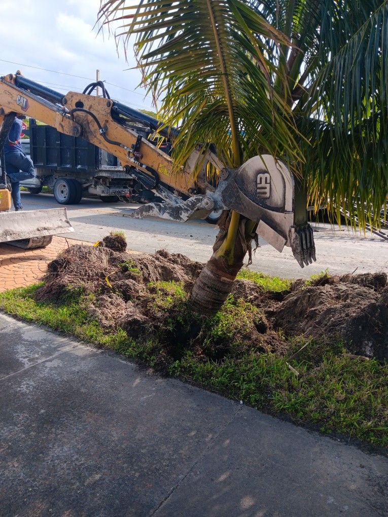 Bobcat, Excavadora 