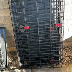 Large double door Kong Metal Dog Crate