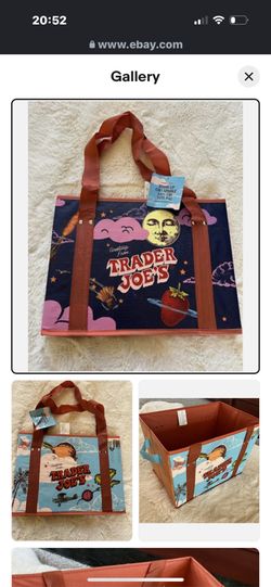 Trader Joe’s Collapsible Bag 