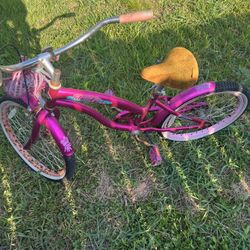 Bicicleta
