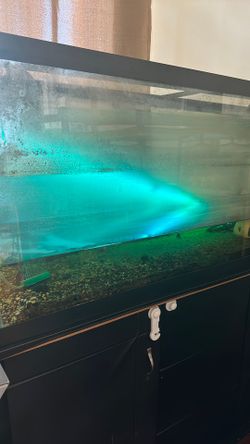 Aquarium with stand