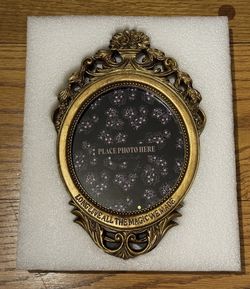 Taylor Swift Speak Now Era "Long Live All The Magic We Made" Picture Frame - New