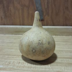 Dry Gourd