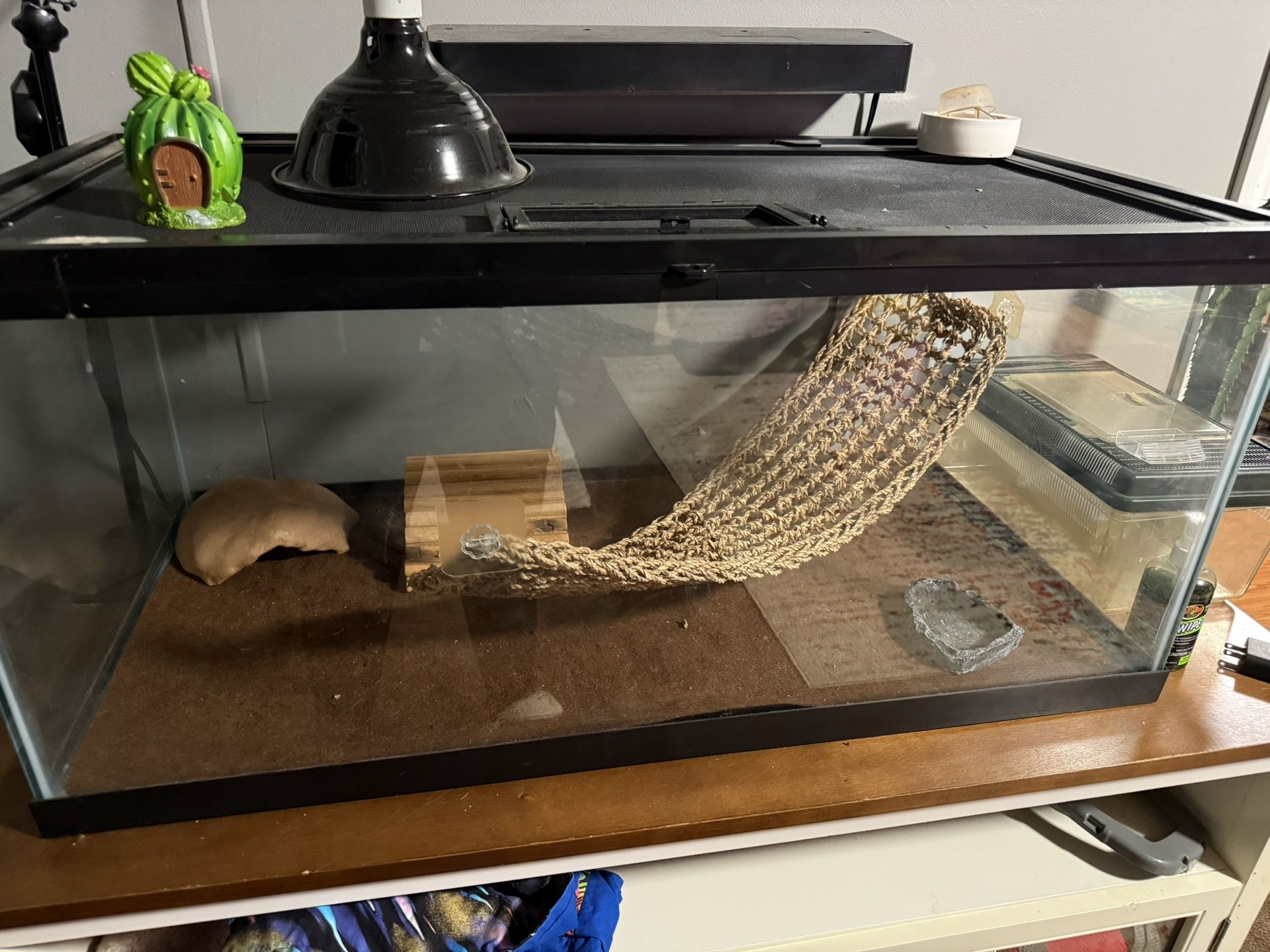 40 gallon Lizard Tank + Accessories