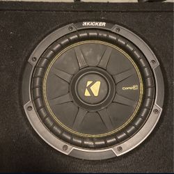 10 Inch Kicker