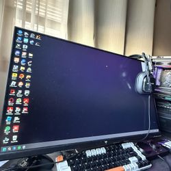 Selling Both Monitors 