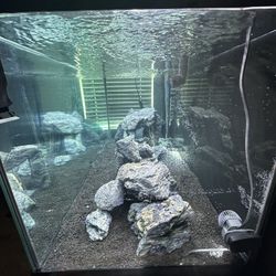 75 Gal Tank Fish Tank 