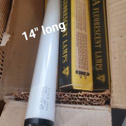 Specialty Light Bulbs