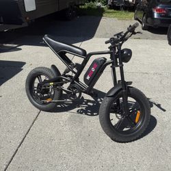 Windone E-bike