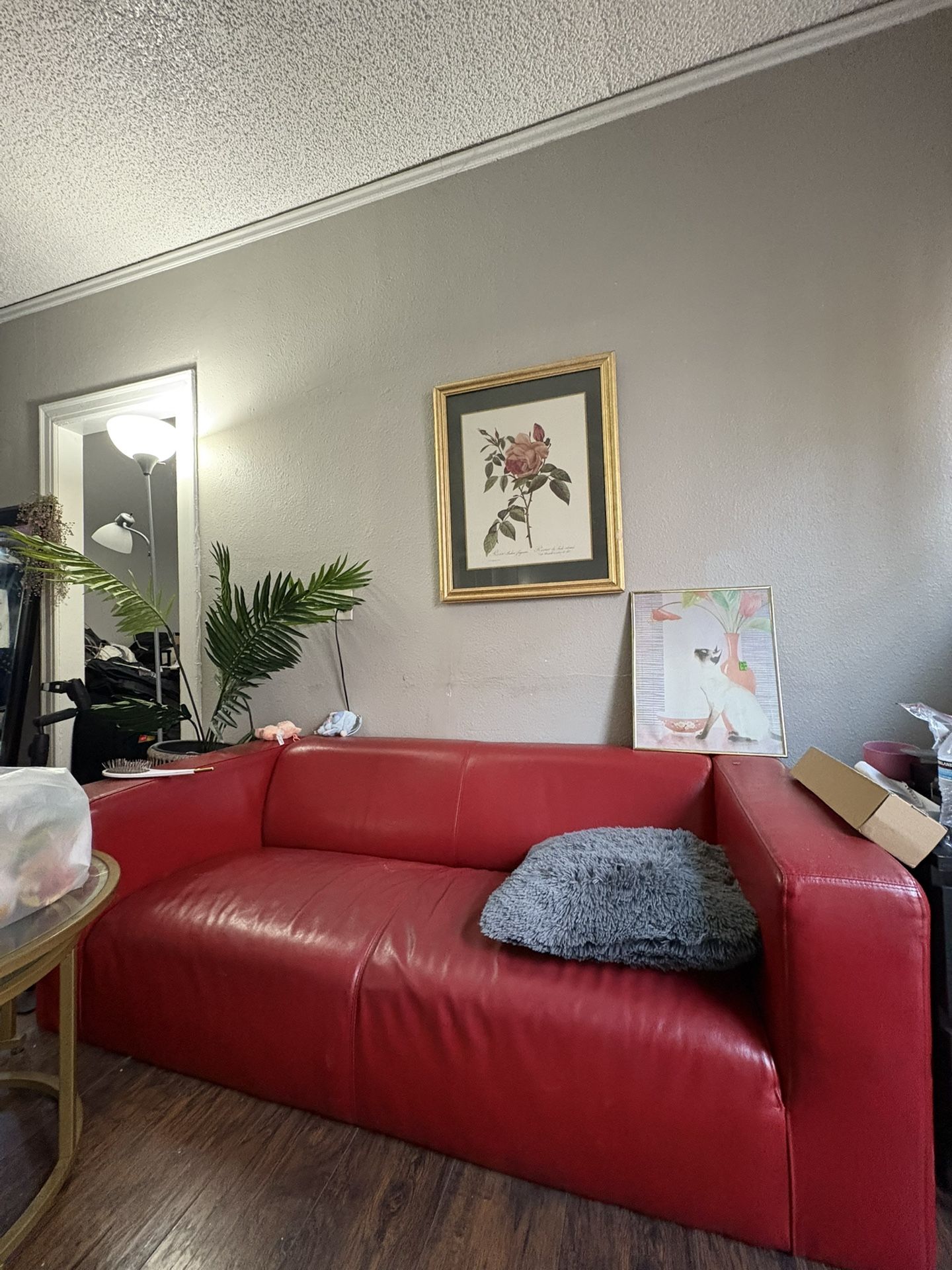 Red Leather Couch $100