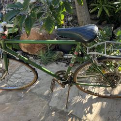 Vintage Premium Road Bike / Bicycle Green