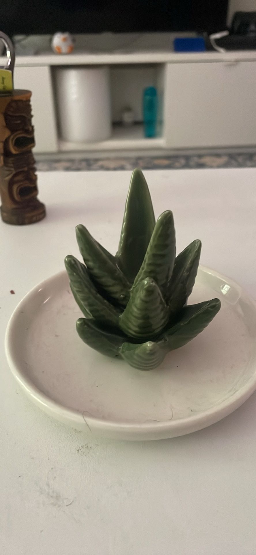 Aloe Vera Ring Holder