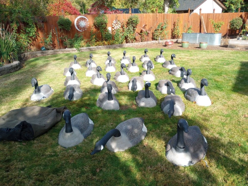 Grand Magnum Canada Goose Shells