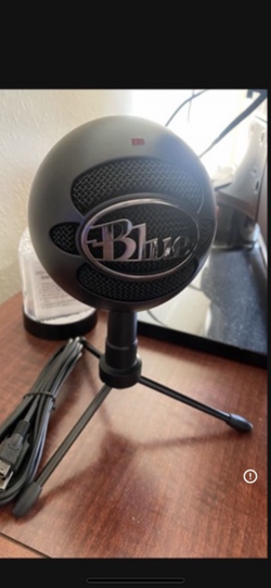 Microphone